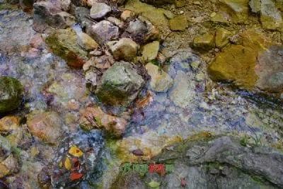 从红色记忆到江南水乡：渭南华州区十大景点详解