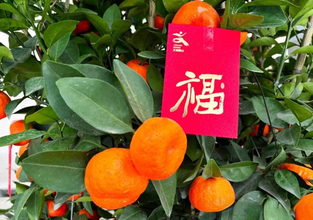 广东红包金额火出圈！@鹤山人，今年你收红包了吗？
