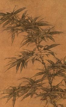 从龟甲到竹简，纸张承载文明的历程，书写工具的演变有何意义？