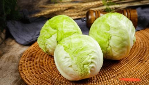 卷心菜：营养丰富又百搭，从欧洲酸菜到亚洲泡菜