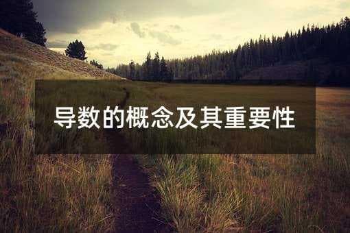 导数的概念及其重要性