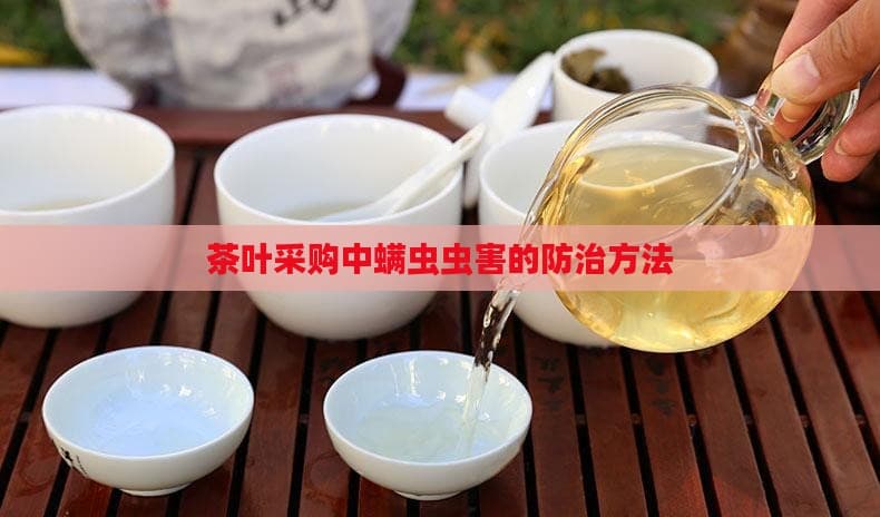 茶叶采购中螨虫虫害的防治方法