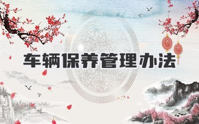 车辆保养管理办法全面解析，有效延长车辆寿命
