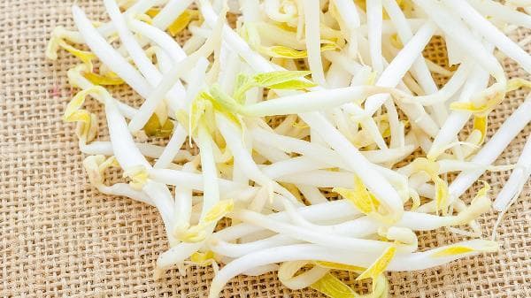 豆芽冷藏可以保存几天