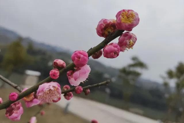 老了才明白：只有儿子，没有女儿的家庭，养老会出现这3个问题