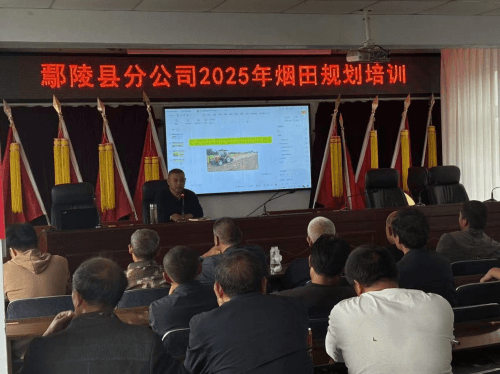 粮烟融合，绘出乡村振兴新画卷
