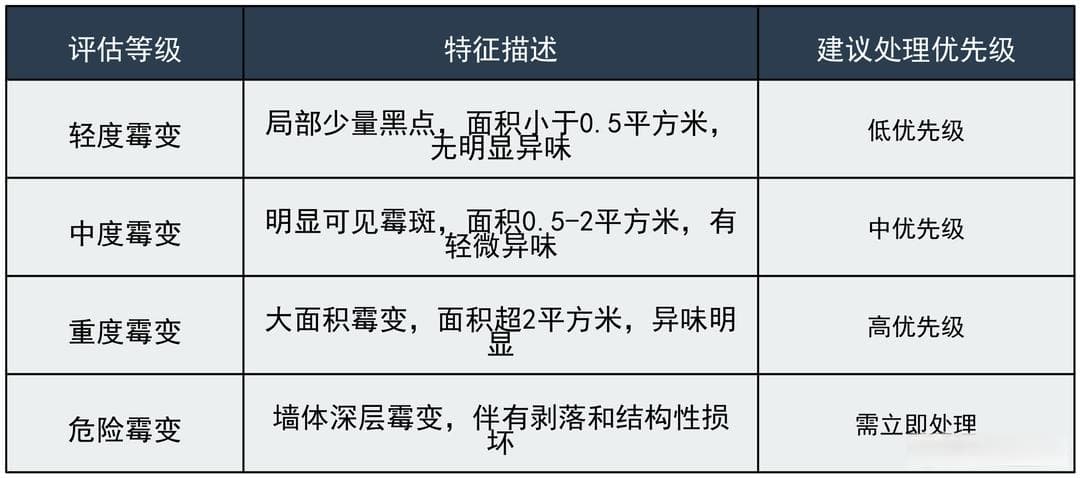 墙面霉变处理全攻略：从评估到预防的系统解决方案