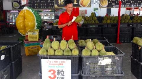 鲜榴莲准入在即，马来西亚行业面临减产困境