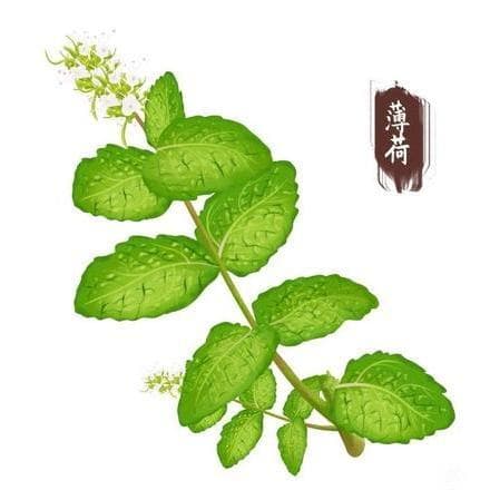 《伤寒论》沿革及版本流传