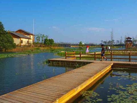 长沙洋湖湿地公园游玩全攻略：门票、开放时间、交通及必游景点 🌿
