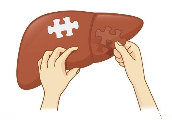 肝功能总蛋白偏低是什么意思