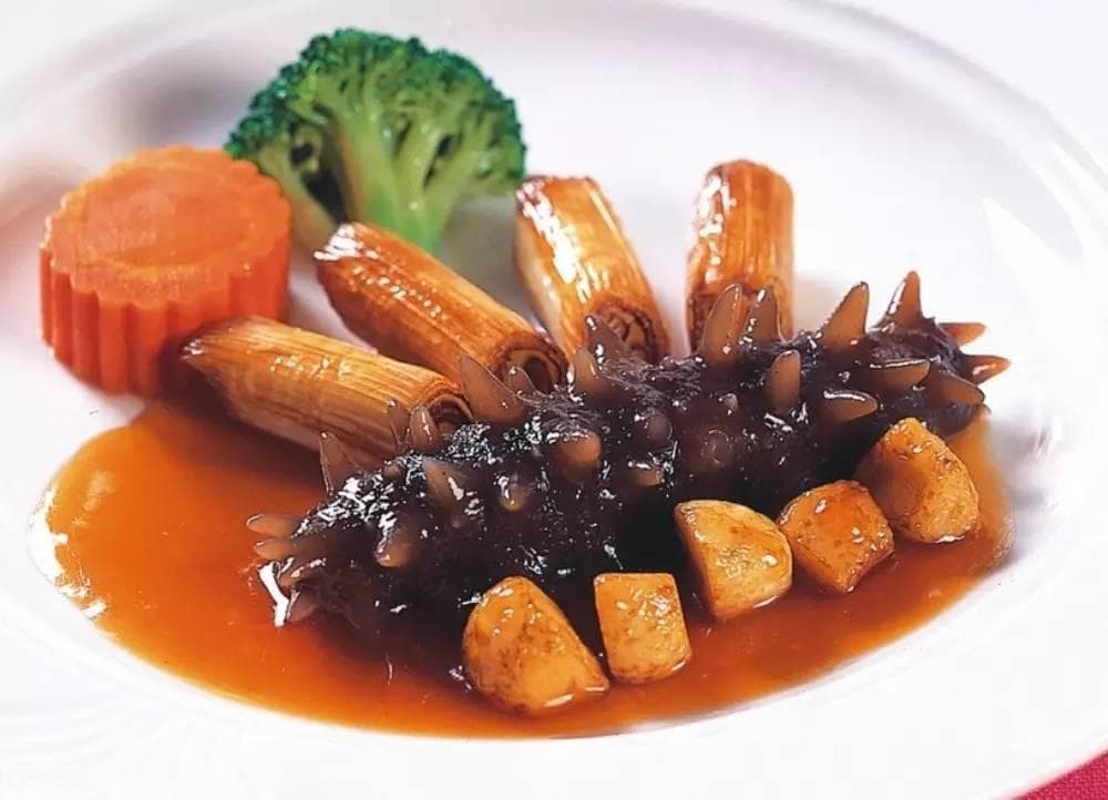 葱烧海参：从宫廷御膳到餐桌珍馐的千年传承