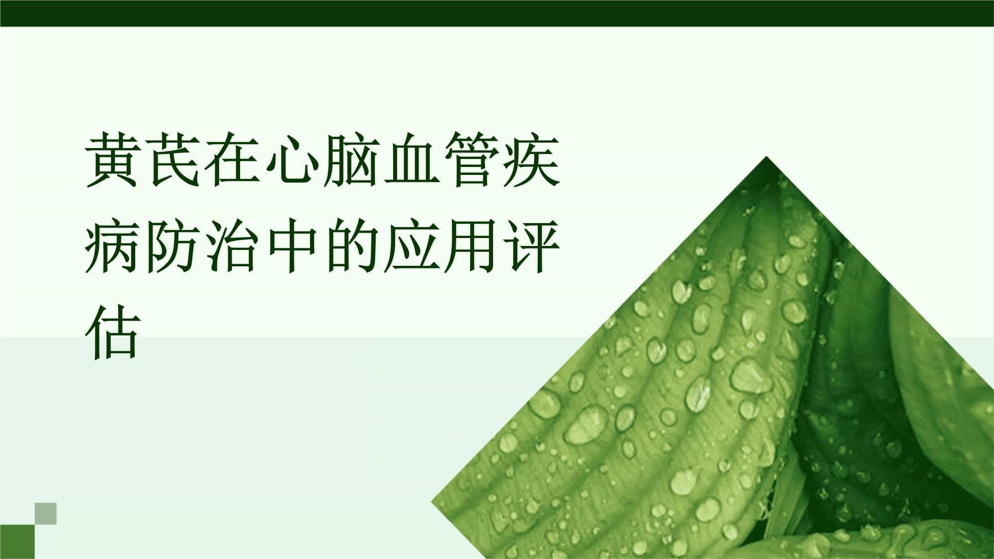 黄芪在心脑血管疾病防治中的应用评估