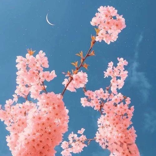 洗液配方设计及优化方法