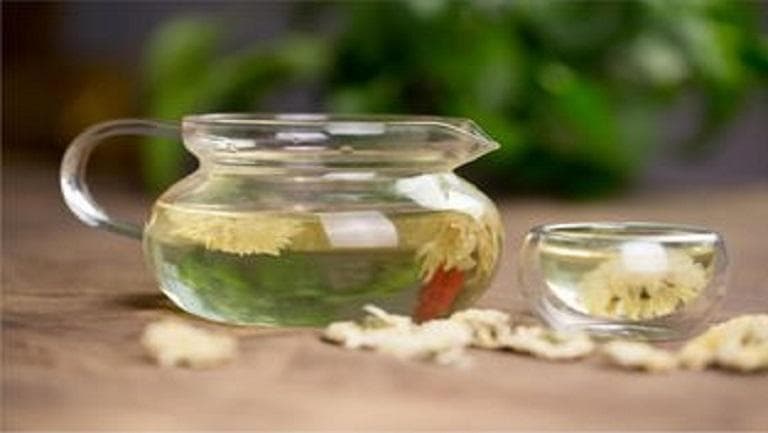 胎菊泡水的功效与作用、禁忌和食用方法