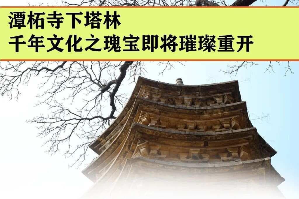 潭柘寺下塔林：千年文化瑰宝璀璨重开