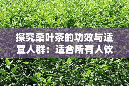 探究桑叶茶的功效与适宜人群：适合所有人饮用吗？