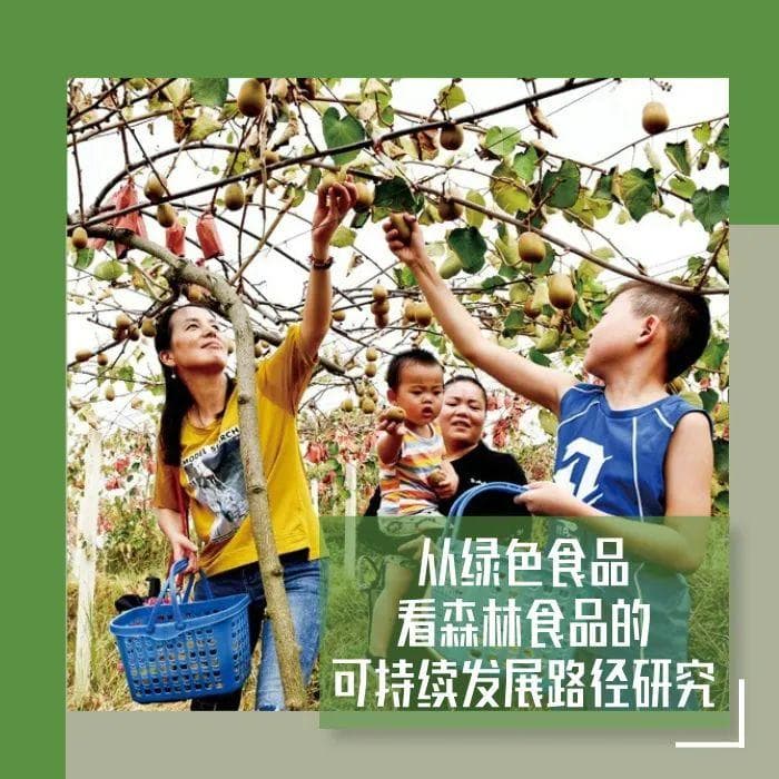 从绿色食品看森林食品的可持续发展路径研究