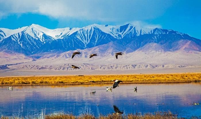 【祁连山下是我家】守护祁连山 应对气候变化的甘肃行动
