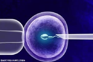 什么是胎儿入盆？胎儿入盆后多久会生？