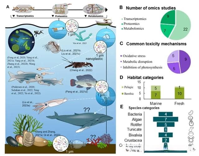 纳米塑料对水生生物的影响：多组学研究新进展