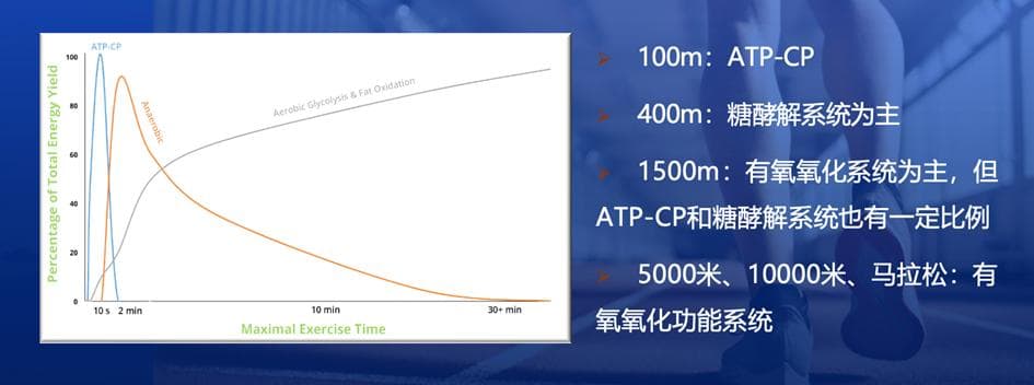跑步时，我们是如何使用身体能量的？
