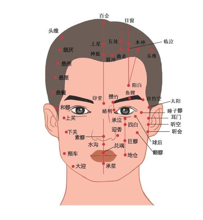 攒竹、睛明、承泣、四白：缓解眼疲劳的四大穴位