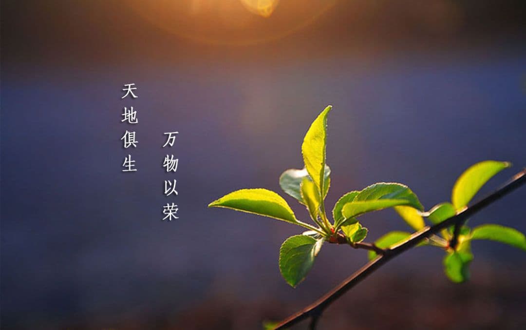 春季艾灸：阳气升发，养生正当时