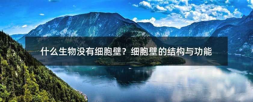 什么生物没有细胞壁？细胞壁的结构与功能