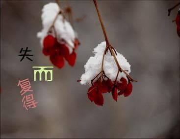 心理学解梦：梦见失而复得的深层含义