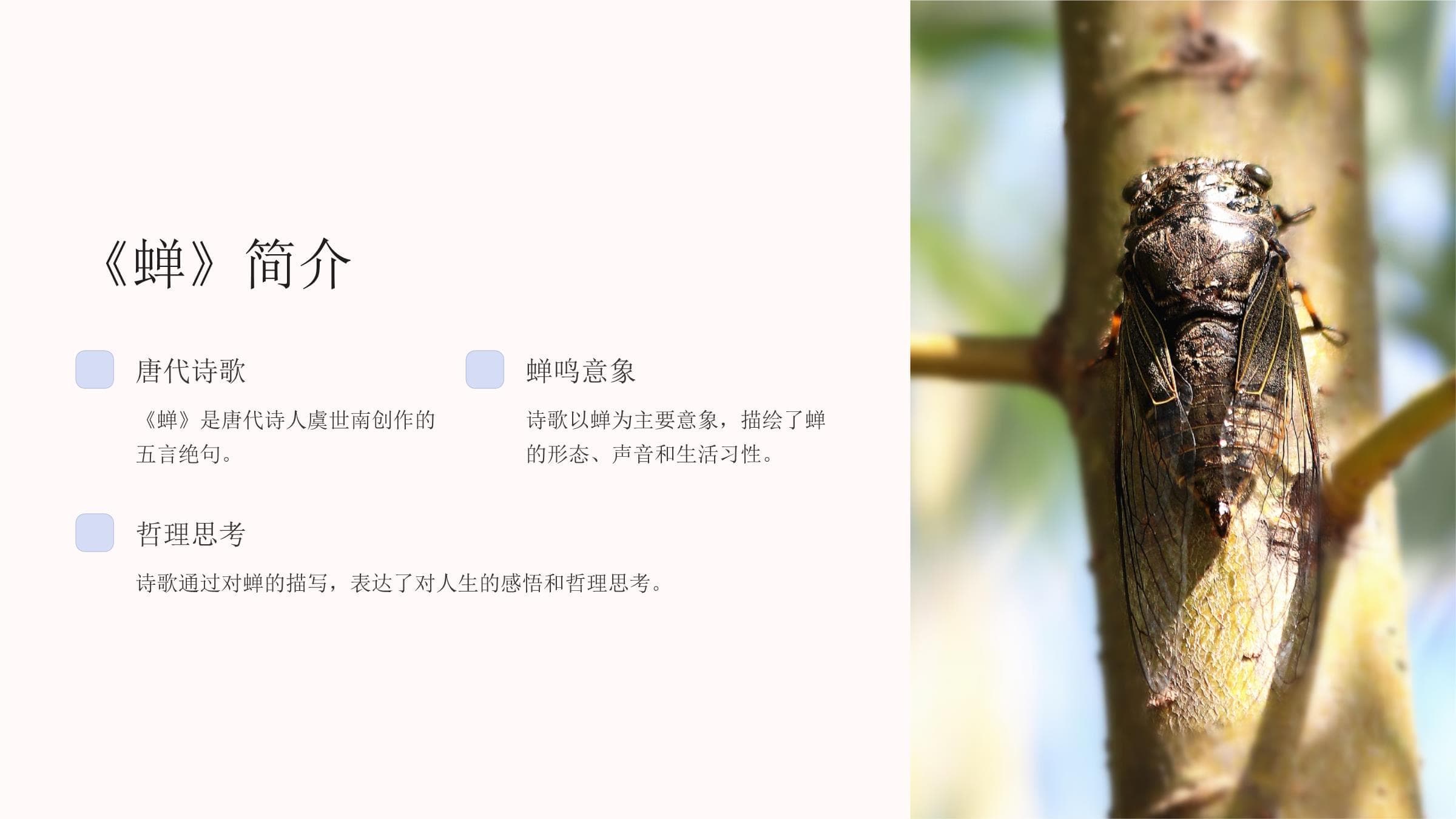 《蝉》虞世南课件