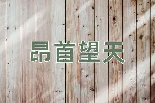 “昂首望天”成语释义：比喻态度傲慢