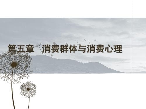 消费群体分类：从理论到实践的全面解析
