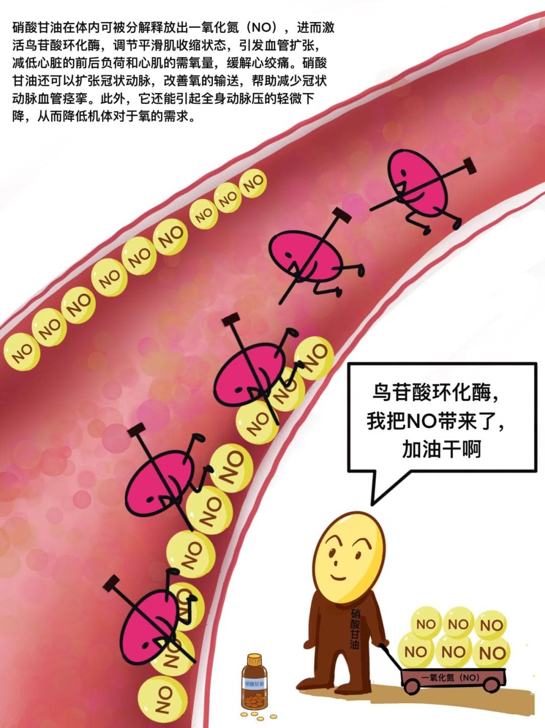 突发心绞痛，硝酸甘油、速效救心丸、麝香保心丸，哪个强？（上）