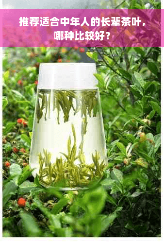 推荐适合中年人的长辈茶叶，哪种比较好？