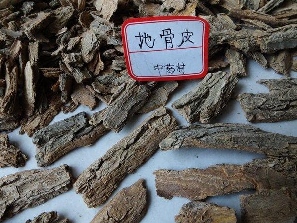 拔毒排脓祛腐生肌的中药