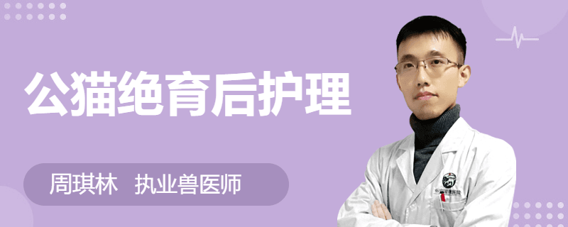 公猫绝育后护理