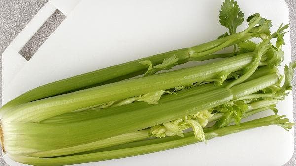 芹菜籽菊苣栀子片能降尿酸吗为什么