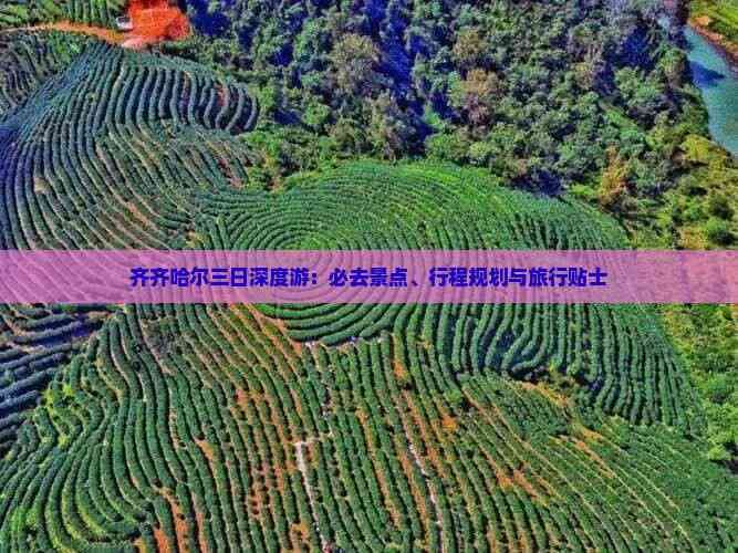齐齐哈尔三日深度游：必去景点、行程规划与旅行贴士
