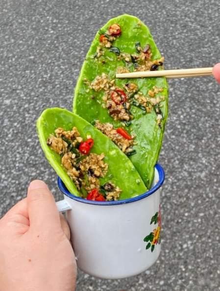 仙人掌的四种创意吃法：从饺子到蒸蛋，解锁独特食材的美味新境界