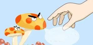 “贪鲜”可致命！已有多人入院！慎食野生菌！！！