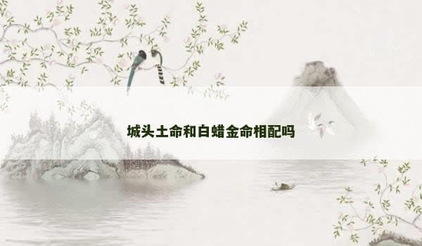 城头土命和白蜡金命相配吗？