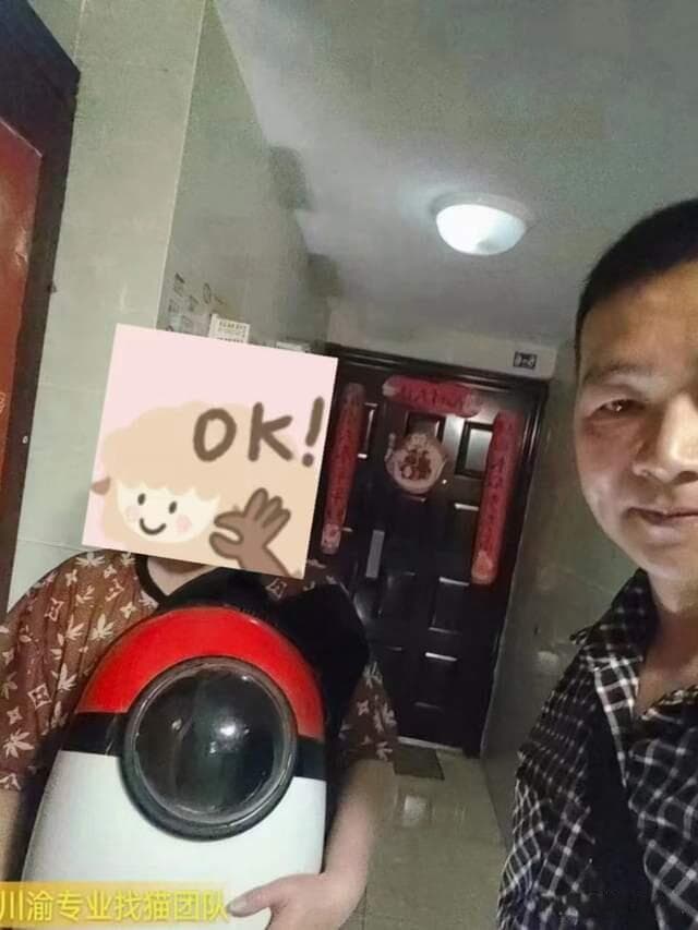 寻宠帮助！我的猫迷路了！找到您心爱的猫分步指南