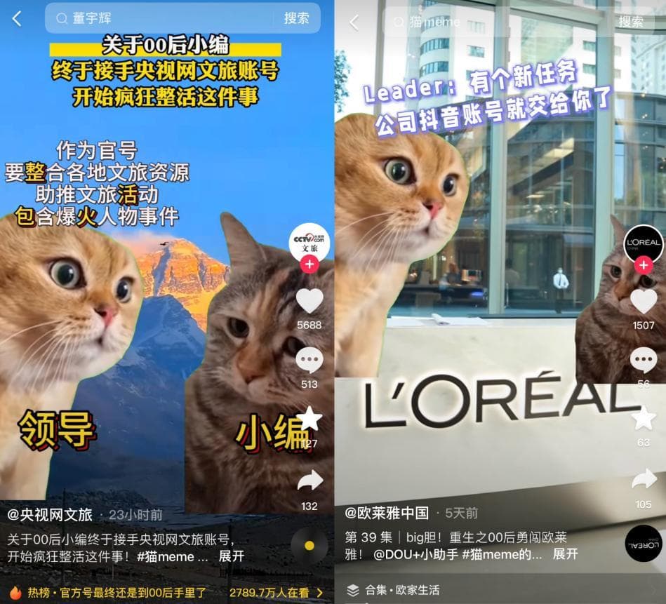猫meme走红，赛博时代的“情绪消化剂”