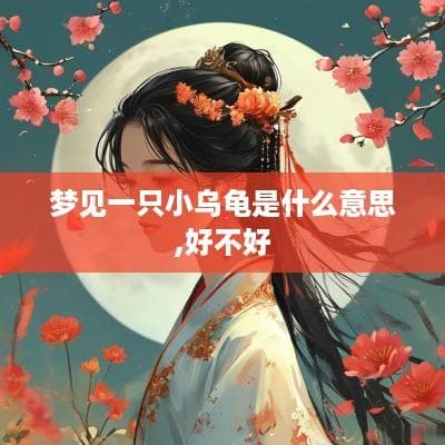梦见一只小乌龟是什么意思,好不好