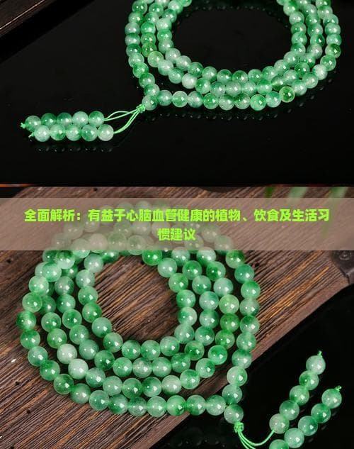 全面解析：有益于心脑血管健康的植物、饮食及生活习惯建议