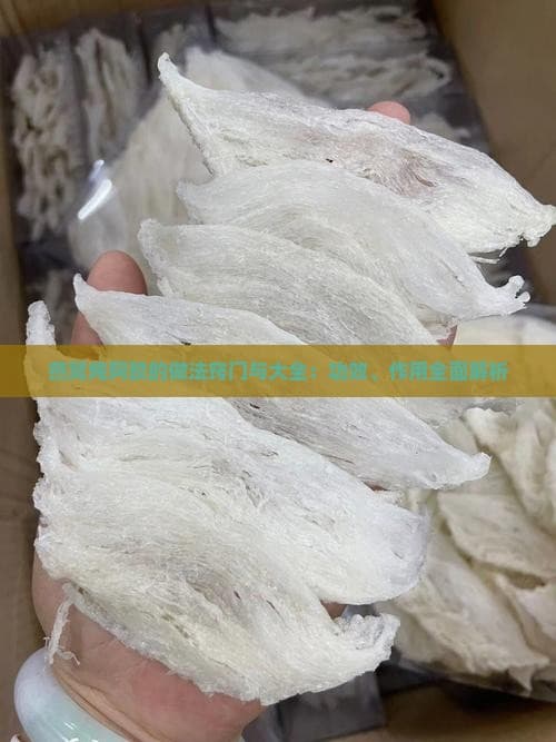 燕窝炖阿胶的做法窍门与大全：功效、作用全面解析