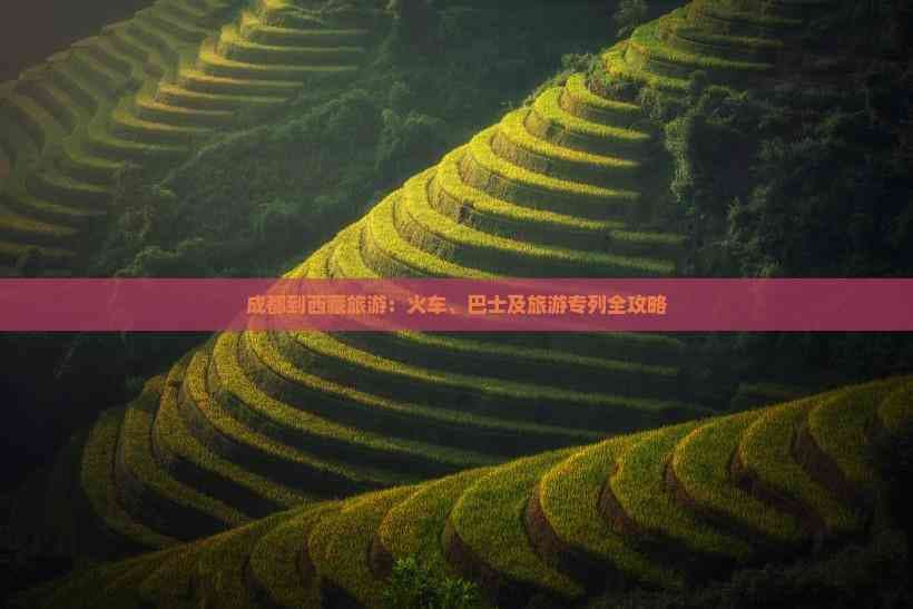 成都到西藏旅游交通攻略：火车、巴士、大巴车和旅游专列全解析