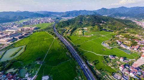 乡村道路占用土地补偿咨询哪个部门