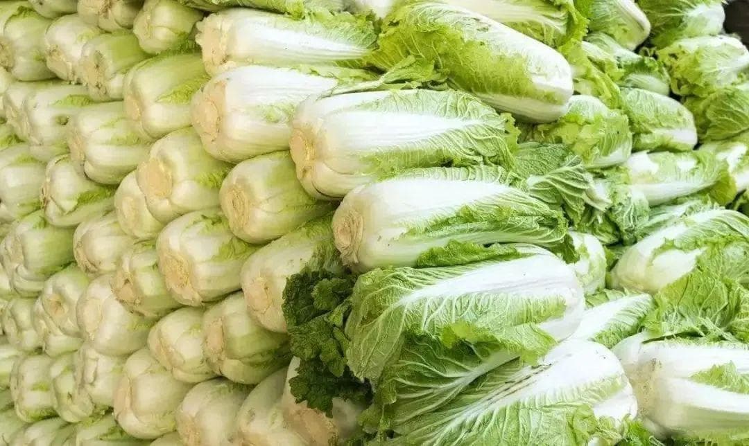 千菜万菜不如白菜：集合史上“最鲜”做法，一周换样吃不腻